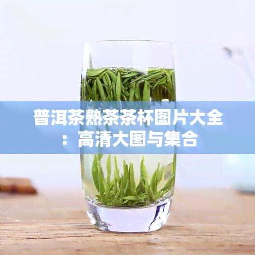 普洱茶熟茶茶杯图片大全：高清大图与 *** 