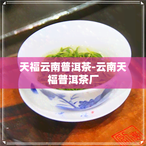 天福云南普洱茶-云南天福普洱茶厂