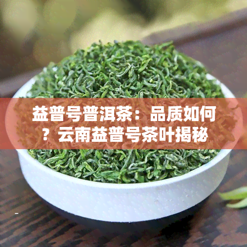 益普号普洱茶：品质如何？云南益普号茶叶揭秘