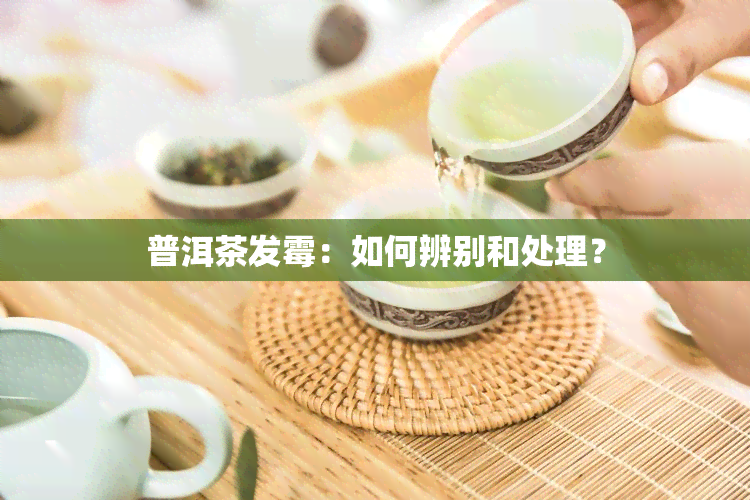 普洱茶发霉：如何辨别和处理？