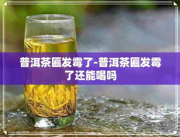 普洱茶匾发霉了-普洱茶匾发霉了还能喝吗