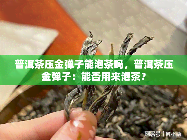 普洱茶压金弹子能泡茶吗，普洱茶压金弹子：能否用来泡茶？