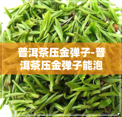 普洱茶压金弹子-普洱茶压金弹子能泡茶吗