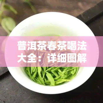 普洱茶春茶喝法大全：详细图解与步骤