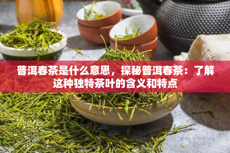 普洱春茶是什么意思，探秘普洱春茶：了解这种独特茶叶的含义和特点