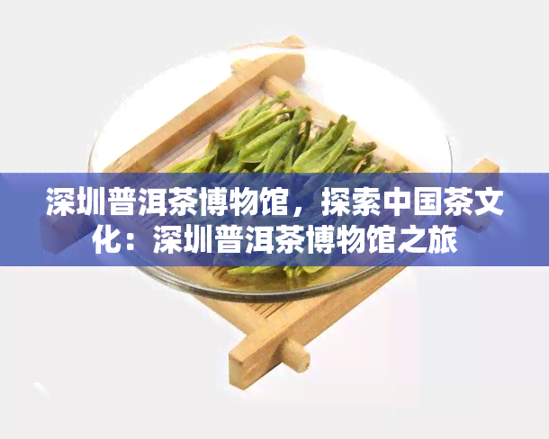 深圳普洱茶博物馆，探索中国茶文化：深圳普洱茶博物馆之旅