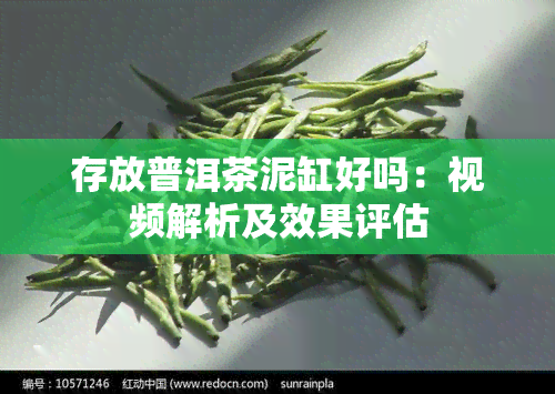 存放普洱茶泥缸好吗：视频解析及效果评估