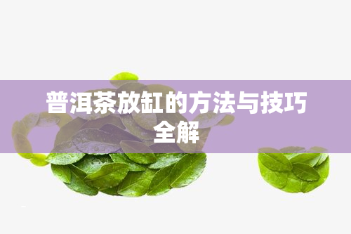 普洱茶放缸的方法与技巧全解