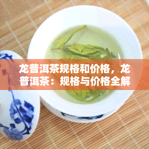 龙普洱茶规格和价格，龙普洱茶：规格与价格全解析