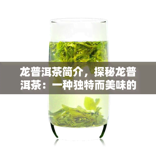 龙普洱茶简介，探秘龙普洱茶：一种独特而美味的茶叶简介