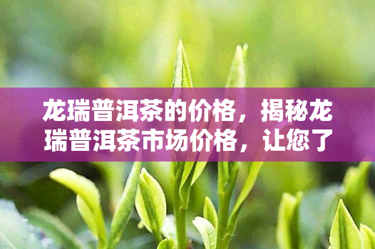 龙瑞普洱茶的价格，揭秘龙瑞普洱茶市场价格，让您了解最新行情！