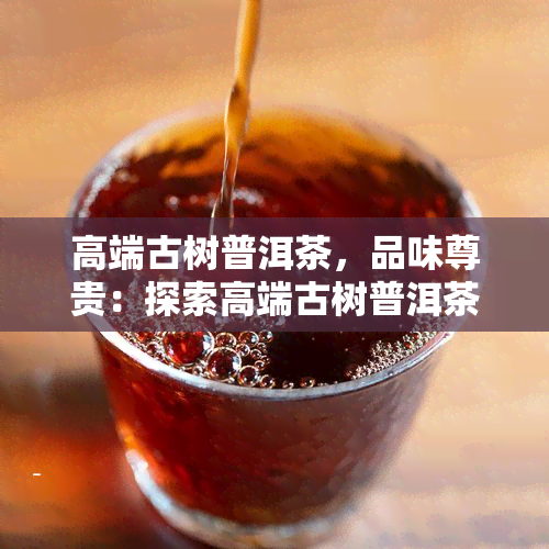 高端古树普洱茶，品味尊贵：探索高端古树普洱茶的独特魅力