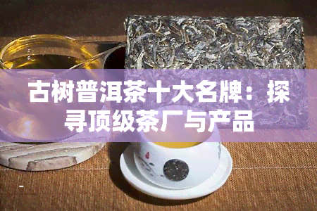 古树普洱茶十大名牌：探寻顶级茶厂与产品