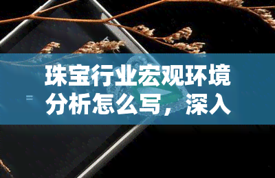 珠宝行业宏观环境分析怎么写，深入解析珠宝行业的宏观环境：关键因素与趋势分析