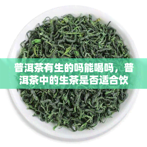 普洱茶有生的吗能喝吗，普洱茶中的生茶是否适合饮用？