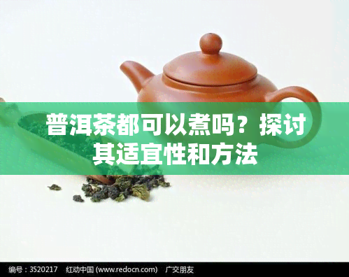 普洱茶都可以煮吗？探讨其适宜性和方法