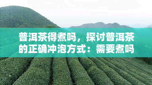 普洱茶得煮吗，探讨普洱茶的正确冲泡方式：需要煮吗？