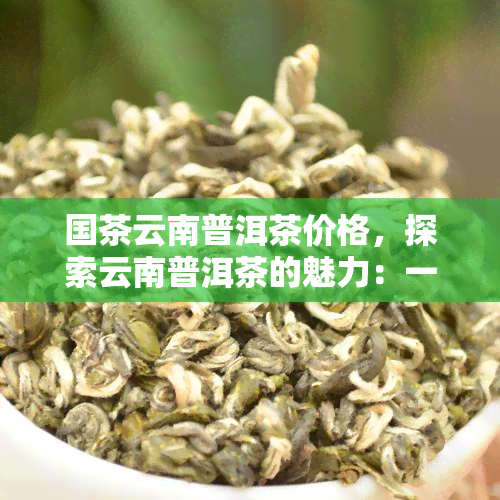 国茶云南普洱茶价格，探索云南普洱茶的魅力：一份全面的价格指南