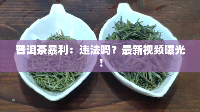 普洱茶暴利：违法吗？最新视频曝光！