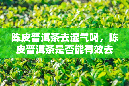 陈皮普洱茶去湿气吗，陈皮普洱茶是否能有效去除体内湿气？