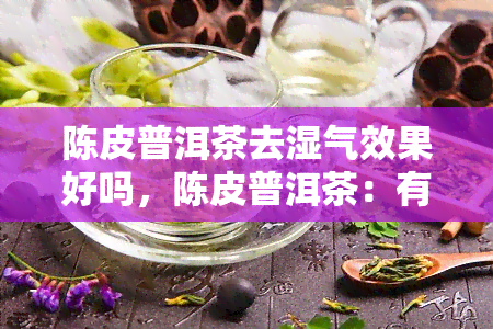 陈皮普洱茶去湿气效果好吗，陈皮普洱茶：有效去除体内湿气吗？