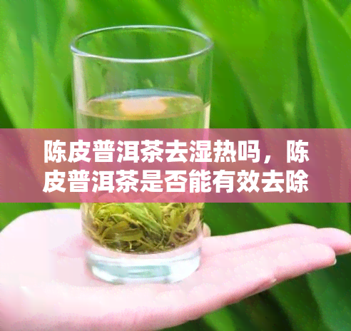 陈皮普洱茶去湿热吗，陈皮普洱茶是否能有效去除体内湿热？