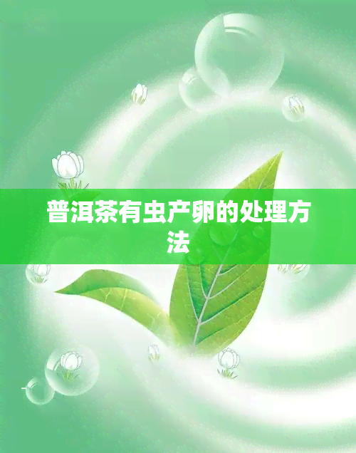 普洱茶有虫产卵的处理方法