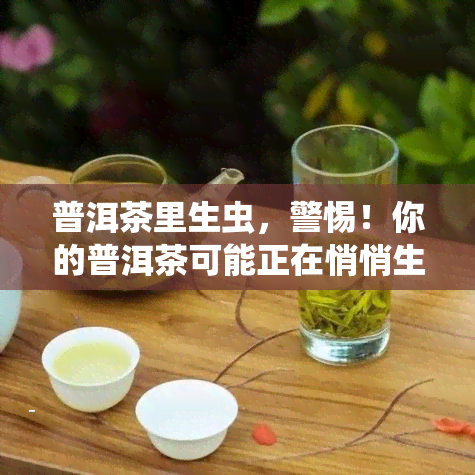 普洱茶里生虫，警惕！你的普洱茶可能正在悄悄生虫，如何避免和处理？