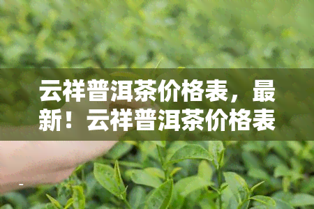 云祥普洱茶价格表，最新！云祥普洱茶价格表全览，一目了然！