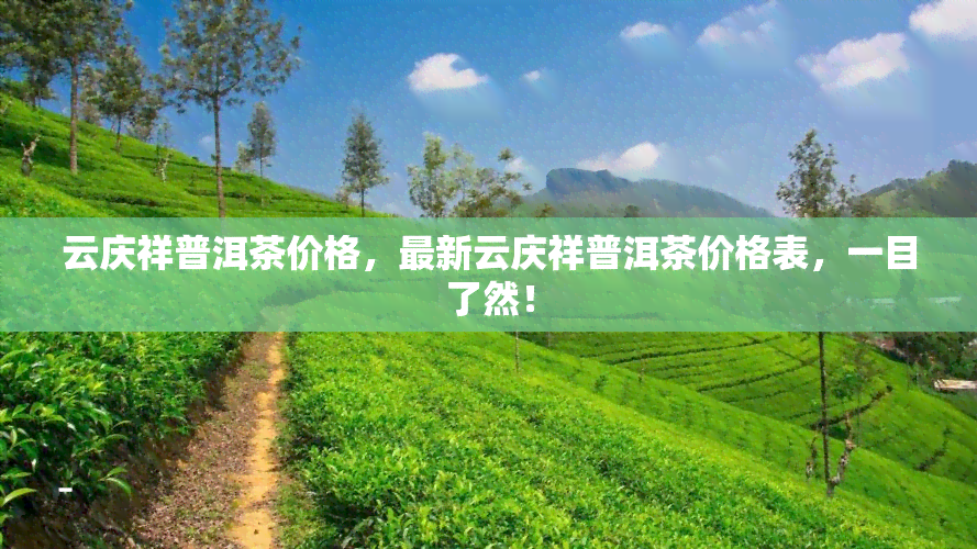 云庆祥普洱茶价格，最新云庆祥普洱茶价格表，一目了然！