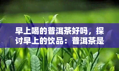 早上喝的普洱茶好吗，探讨早上的饮品：普洱茶是否适合你？