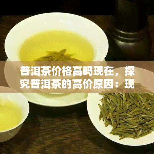 普洱茶价格高吗现在，探究普洱茶的高价原因：现在市场行情如何？