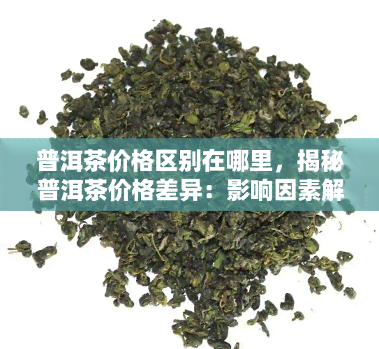 普洱茶价格区别在哪里，揭秘普洱茶价格差异：影响因素解析