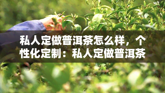 私人定做普洱茶怎么样，个性化定制：私人定做普洱茶，品味独一无二的茶香体验