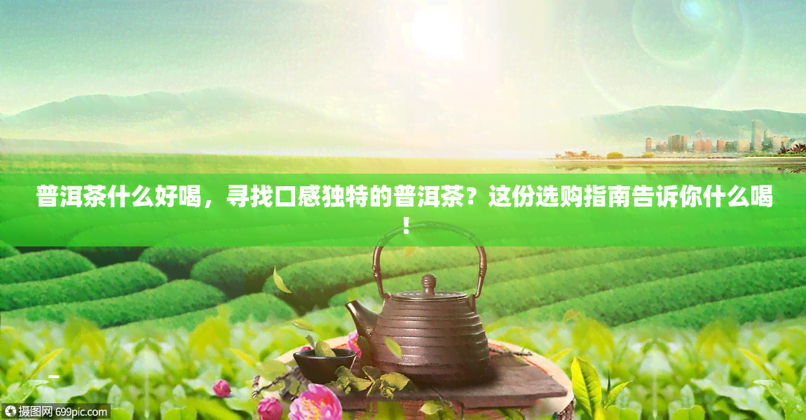 普洱茶什么好喝，寻找口感独特的普洱茶？这份选购指南告诉你什么喝！