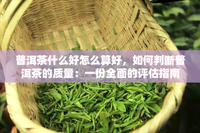 普洱茶什么好怎么算好，如何判断普洱茶的质量：一份全面的评估指南