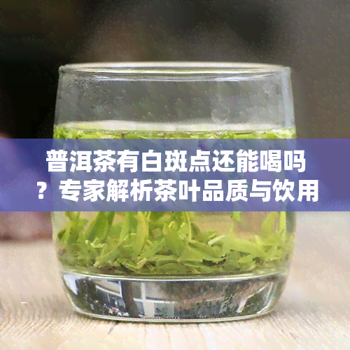 普洱茶有白斑点还能喝吗？专家解析茶叶品质与饮用安全