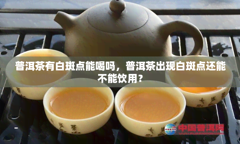 普洱茶有白斑点能喝吗，普洱茶出现白斑点还能不能饮用？