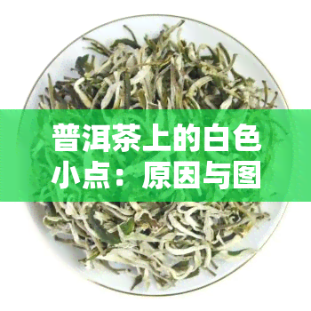 普洱茶上的白色小点：原因与图片解析