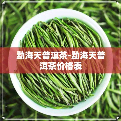 勐海天普洱茶-勐海天普洱茶价格表