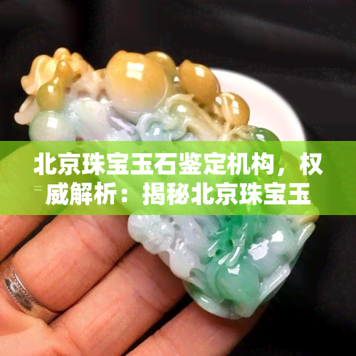 北京珠宝玉石鉴定机构，权威解析：揭秘北京珠宝玉石鉴定机构的内幕与评价