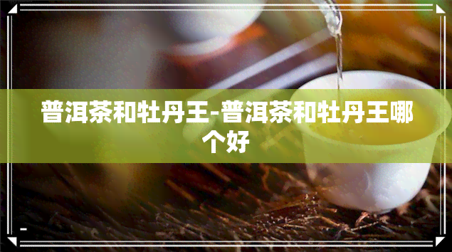 普洱茶和牡丹王-普洱茶和牡丹王哪个好