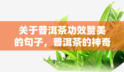 关于普洱茶功效赞美的句子，普洱茶的神奇功效，赞美之词不绝于耳！