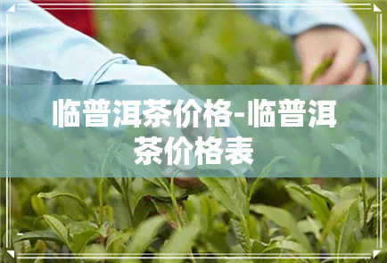 临普洱茶价格-临普洱茶价格表