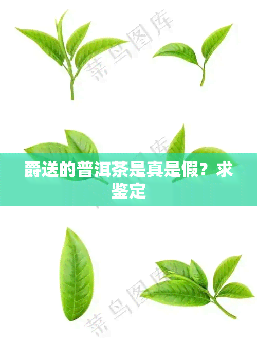 爵送的普洱茶是真是假？求鉴定