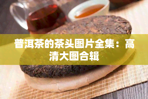 普洱茶的茶头图片全集：高清大图合辑