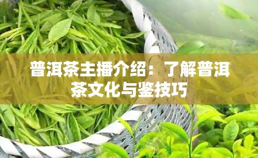 普洱茶主播介绍：了解普洱茶文化与鉴技巧