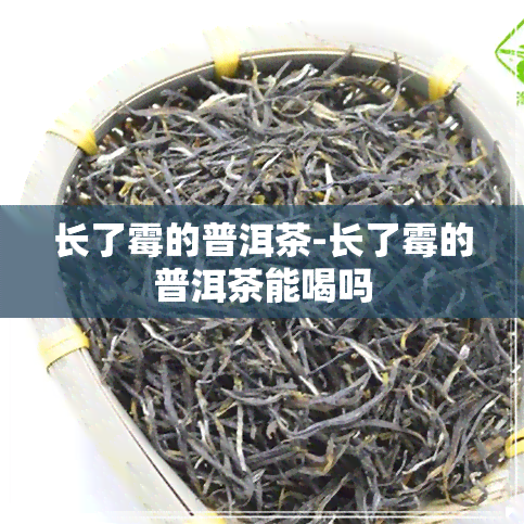 长了霉的普洱茶-长了霉的普洱茶能喝吗