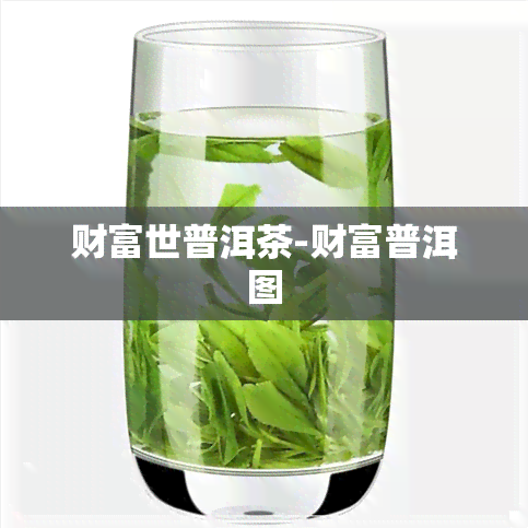 财富世普洱茶-财富普洱图