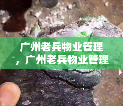 广州老兵物业管理，广州老兵物业管理：专业为您提供优质物业管理服务